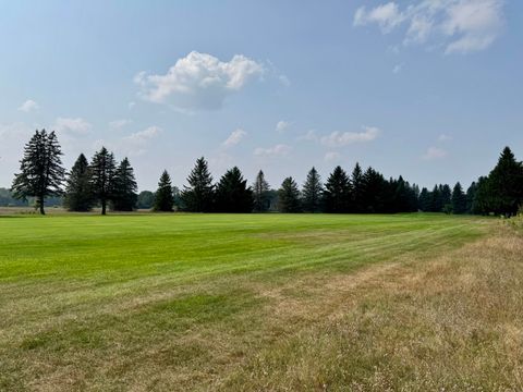 7277 Ryans Run Canadian Lakes MI 49346