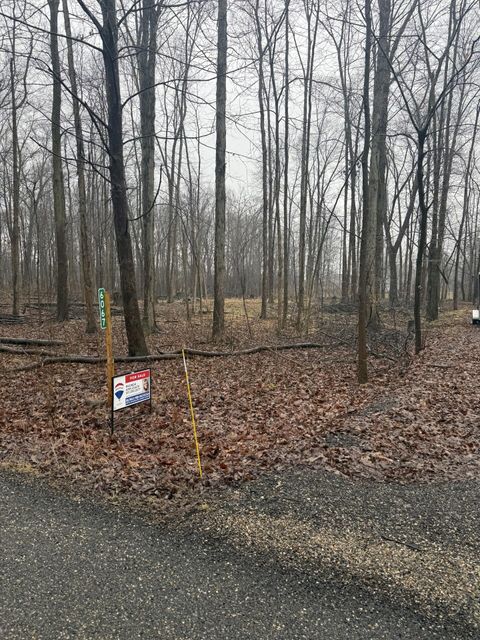 Photo of 6067 Leora Lane, Jackson, MI 49201 (MLS # 26008334)