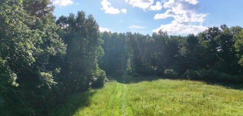 Photo for V/L Woods Road