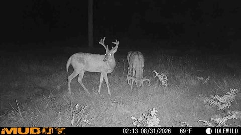 Photo for 5910 S Shallow Drive