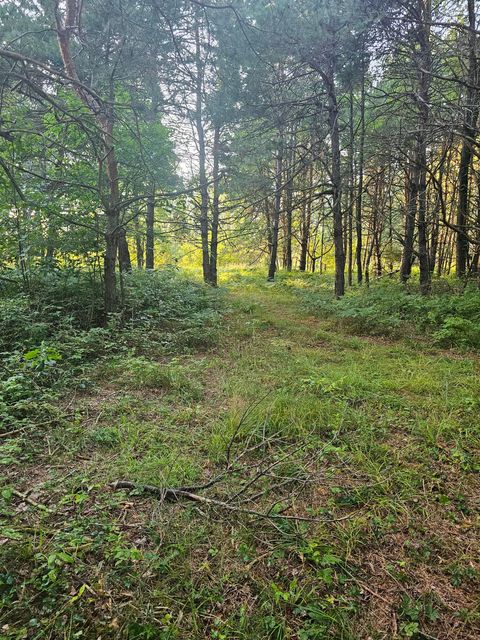 Photo of 15410 Johnson Road, Kaleva, MI 49645 (MLS # 25048768)