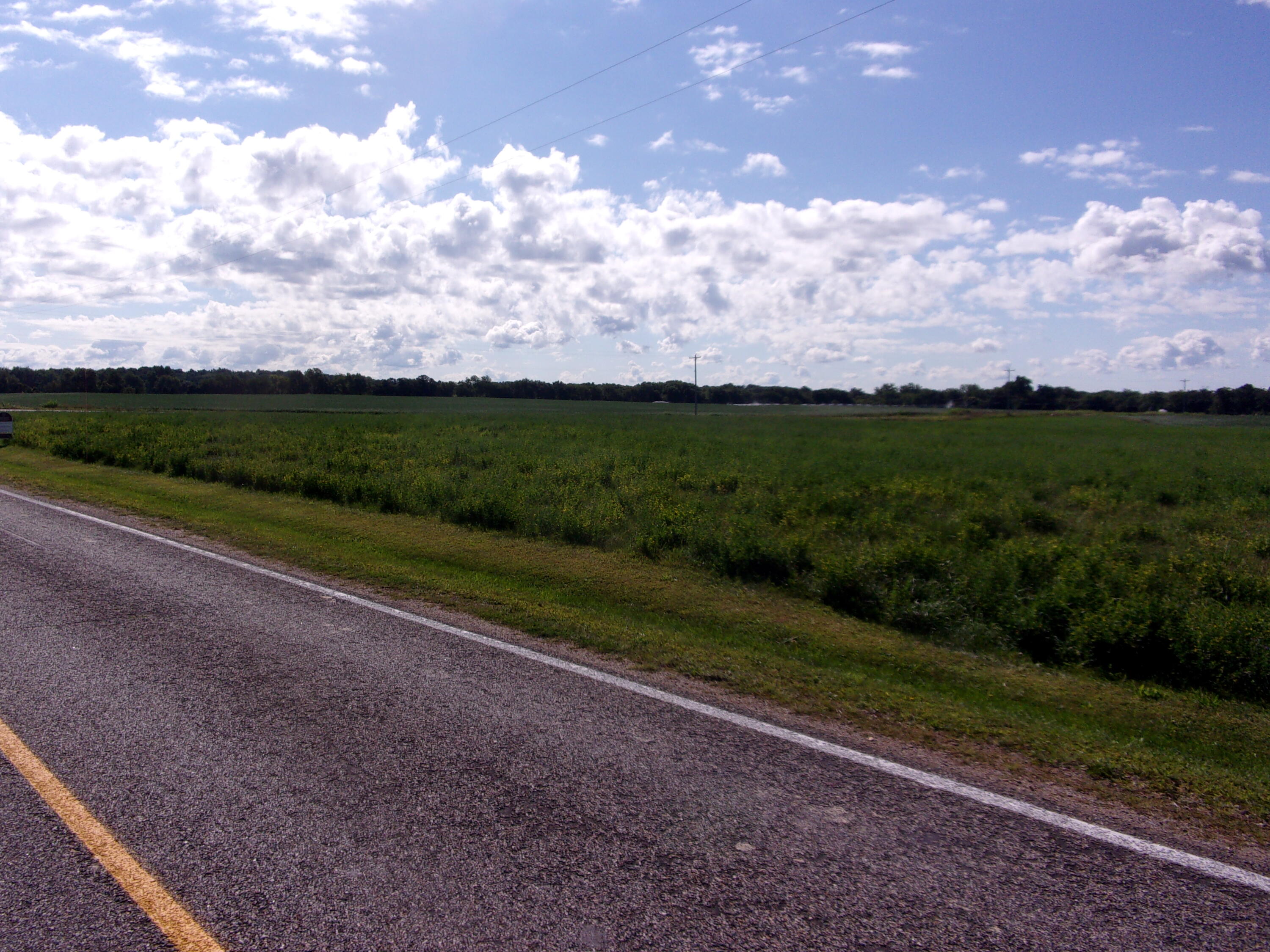 Burr Oak, Michigan 49030, United States, ,Land,Active,198247