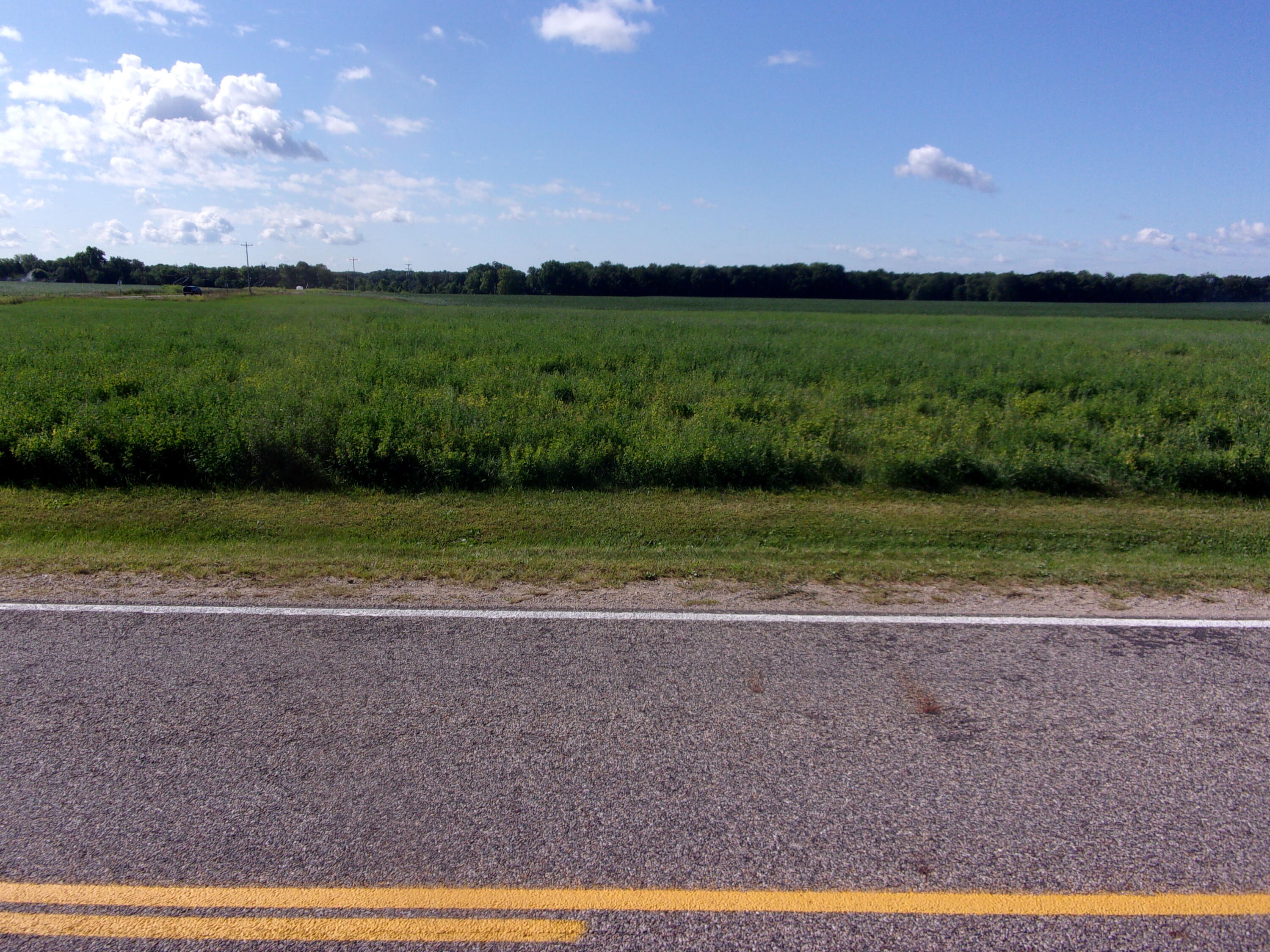 Burr Oak, Michigan 49030, United States, ,Land,Active,198247