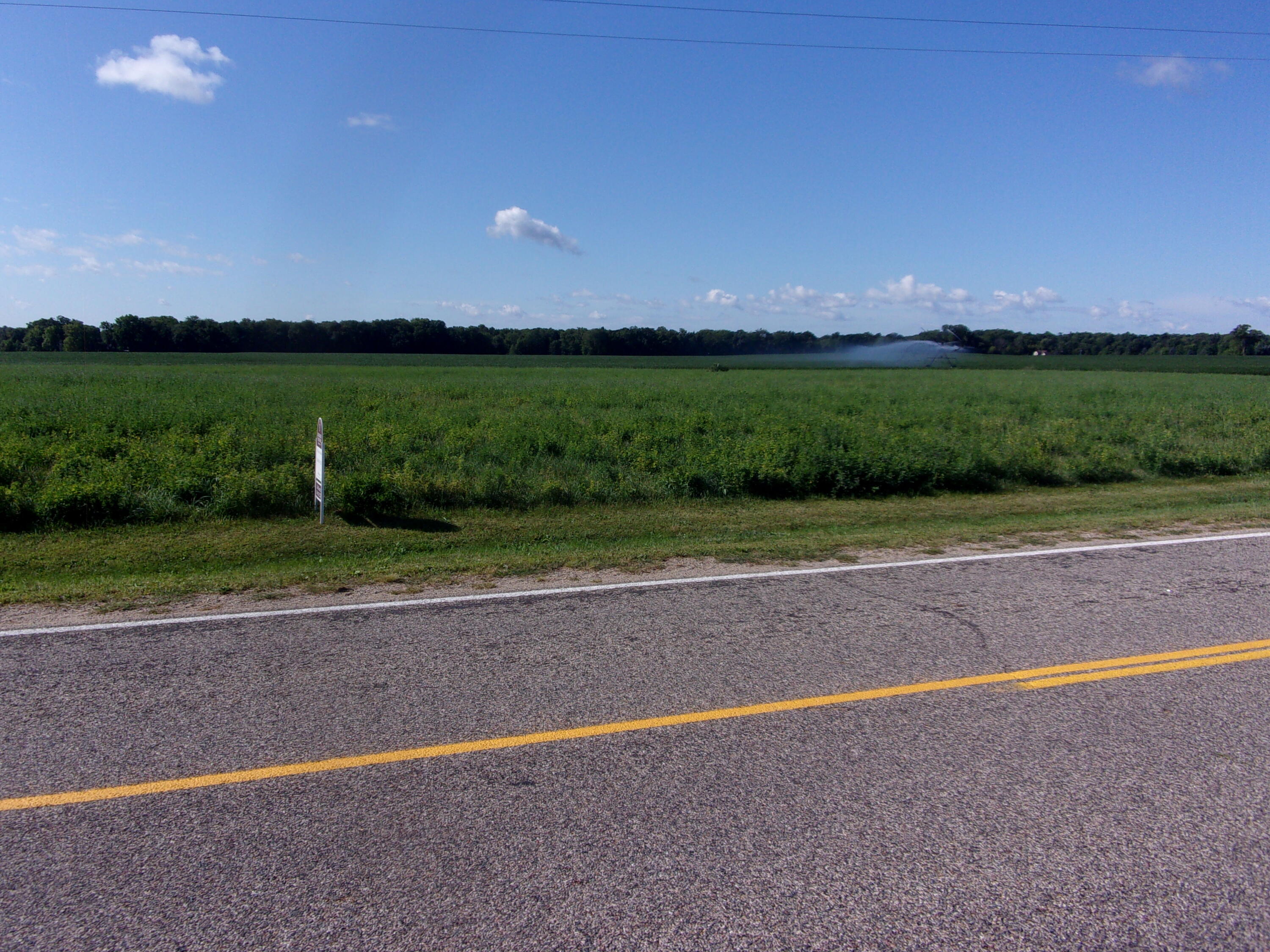 Burr Oak, Michigan 49030, United States, ,Land,Active,198247