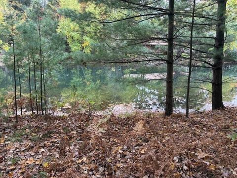 9380 Taylors Turn Canadian Lakes MI 49346