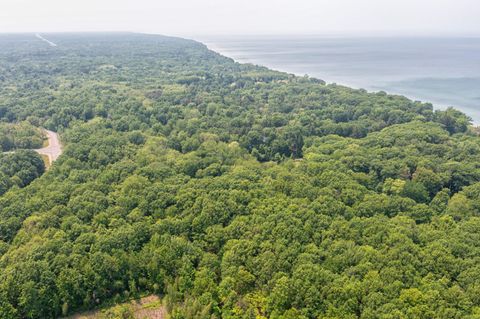 Photo of 2436 Lakeshore Dr. Dr #Parcel B, Fennville, MI 49408 (MLS # 25039821)