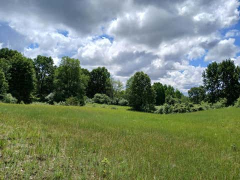 Photo of 24A E Beyer Road, Fountain, MI 49410 (MLS # 26030875)