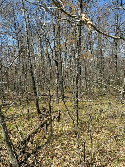 Photo for V/L Shadowbrook Drive