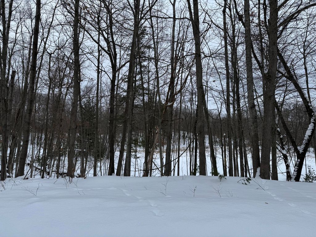 Photo of 10953 Shawnee Trail, Stanwood, MI 49346 (MLS # 26005243)