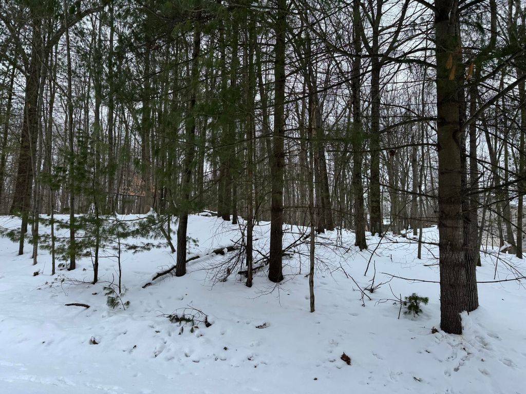 Photo of 10953 Shawnee Trail, Stanwood, MI 49346 (MLS # 26005243)