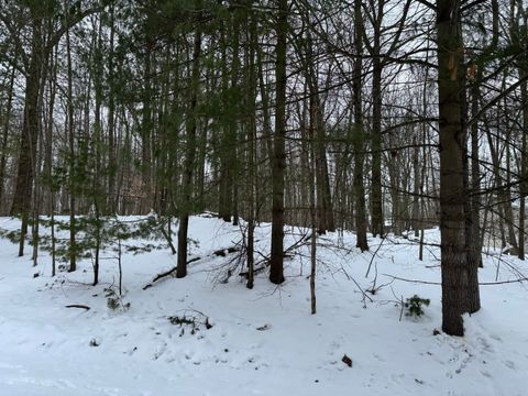 10953 Shawnee Trail Stanwood MI 49346