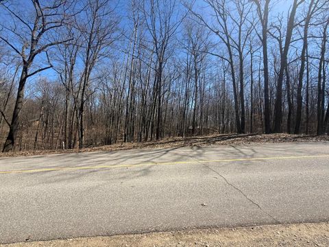 10270 Timberlane Drive Canadian Lakes MI 49346