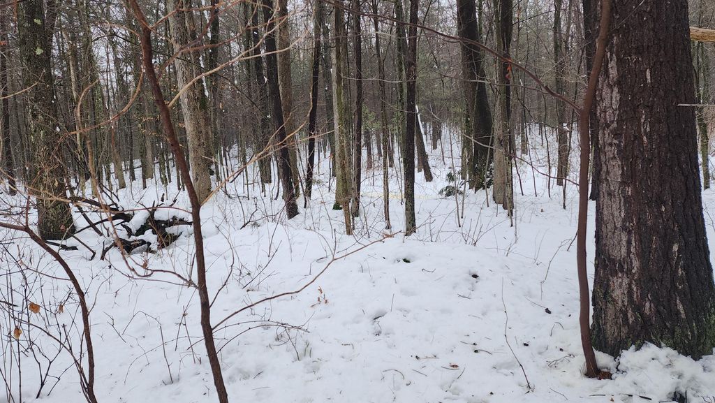 Photo of 6908 E 18th Street, White Cloud, MI 49349 (MLS # 26002136)