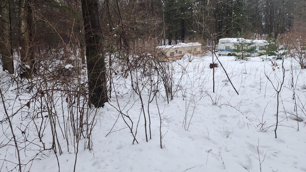 Photo of 6908 E 18th Street, White Cloud, MI 49349 (MLS # 26002136)