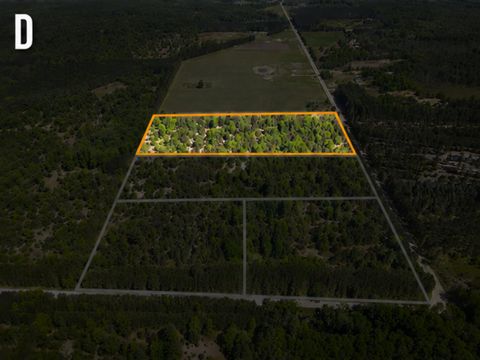 Photo of Parcel D Niemi Road, Kaleva, MI 49645 (MLS # 26033806)