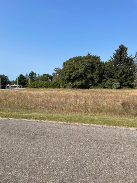 Photo of 0 E Parkdale Avenue, Manistee, MI 49660 (MLS # 24048151)