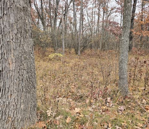 Photo of V/L Woodbridge Drive, Bitely, MI 49309 (MLS # 25057476)