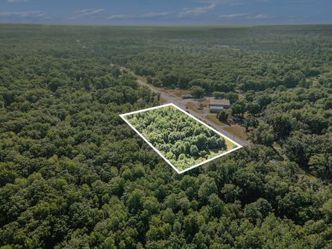 Photo of 9554 U.S. 10, Branch, MI 49402 (MLS # 26016364)