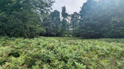 Photo of V/L Meadowview Trail #167, Custer, MI 49405 (MLS # 25017820)