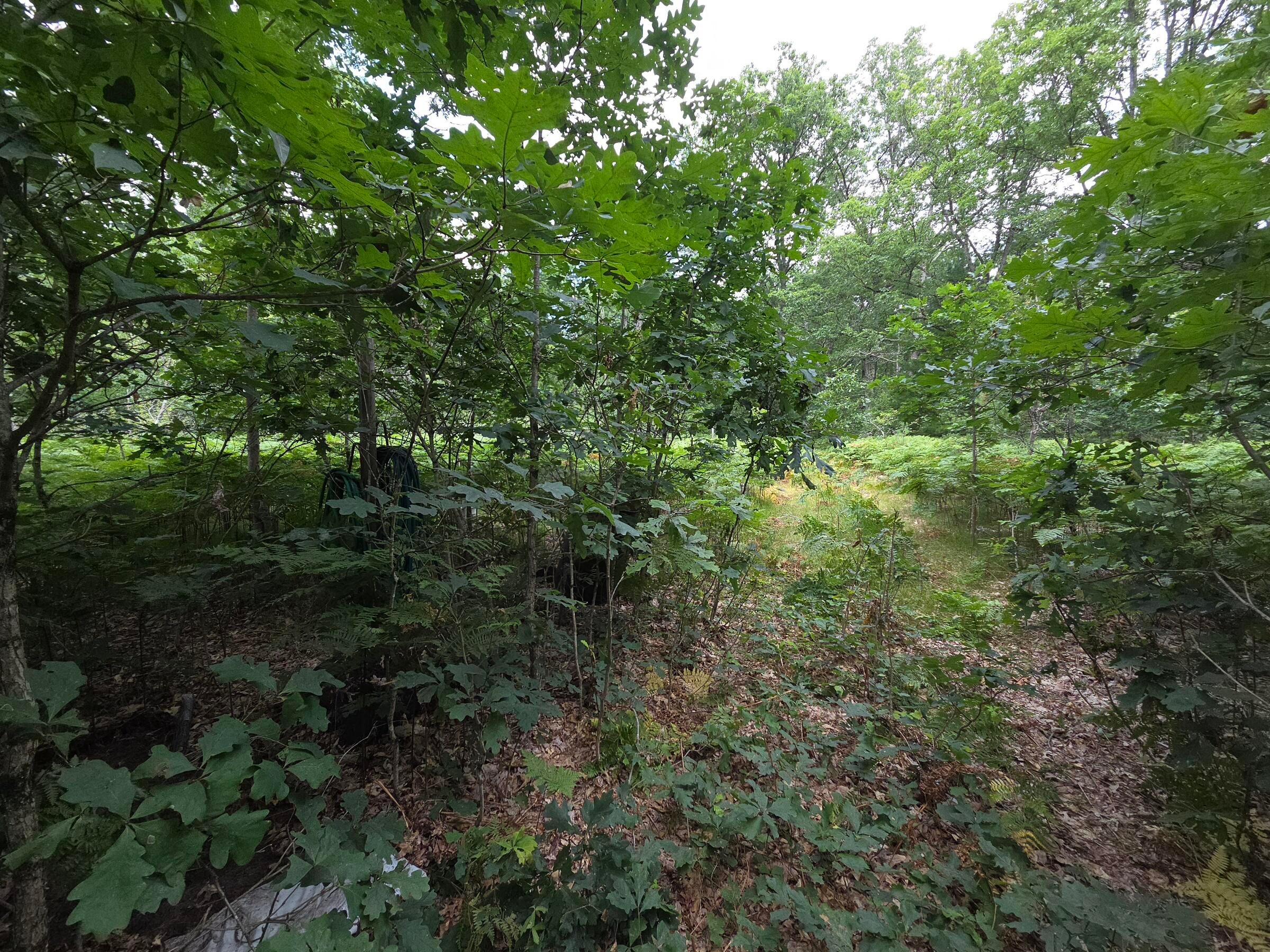 Listing 26