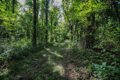 Photo for V/L Millard Road