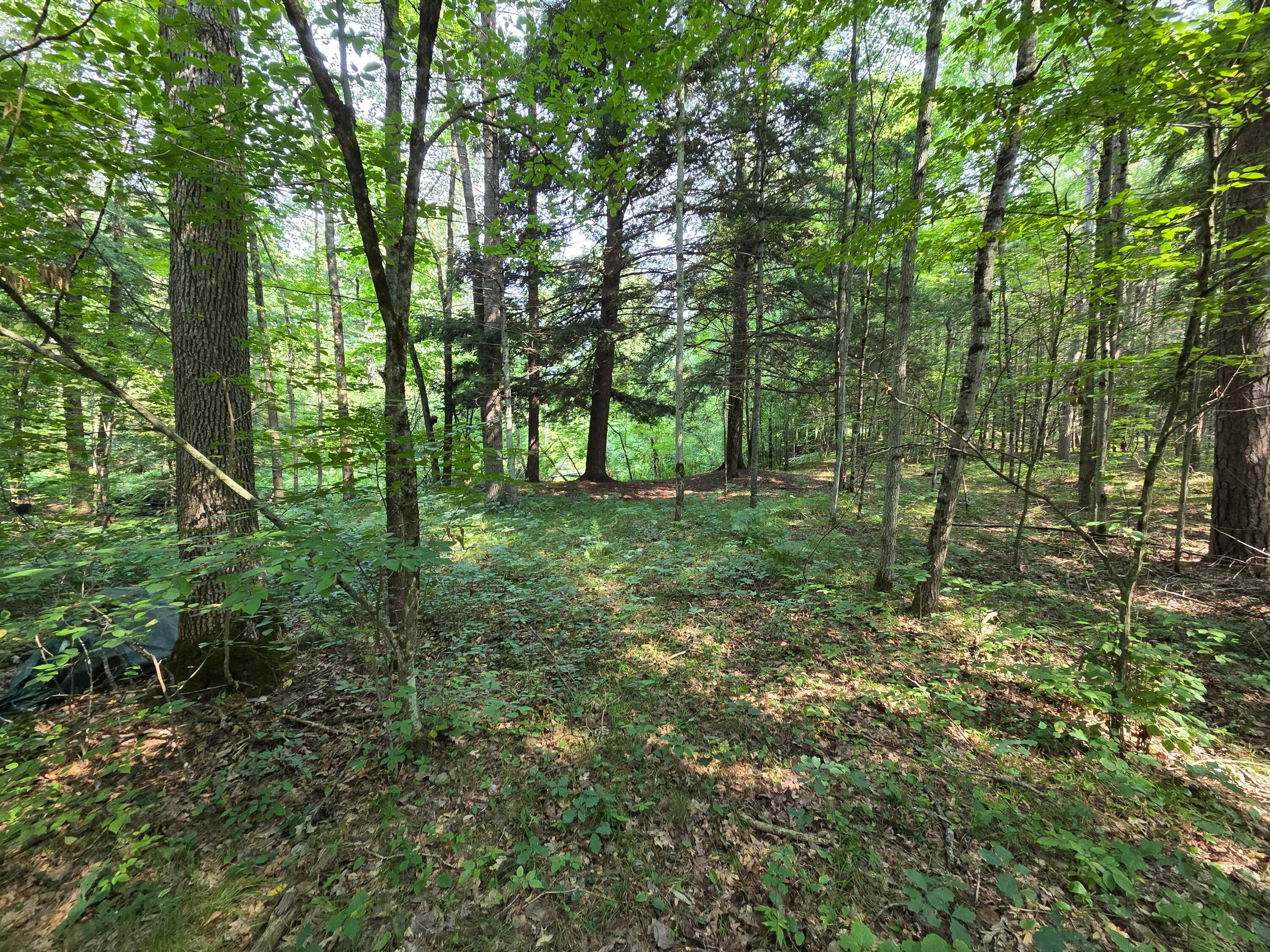 Listing 28