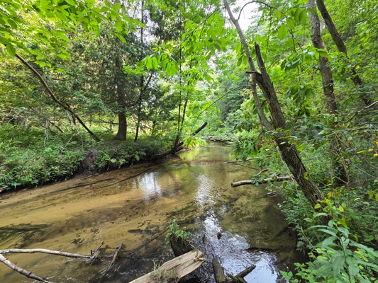4232 E 3 1/2 MILE RD, LUTHER, MI 49656 - Image bf6847f737d28c8ff8d4626b65362d73/3758188122