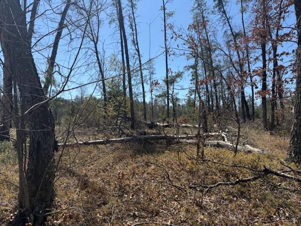 Photo of VL Prarie Road, Idlewild, MI 49642 (MLS # 26005020)