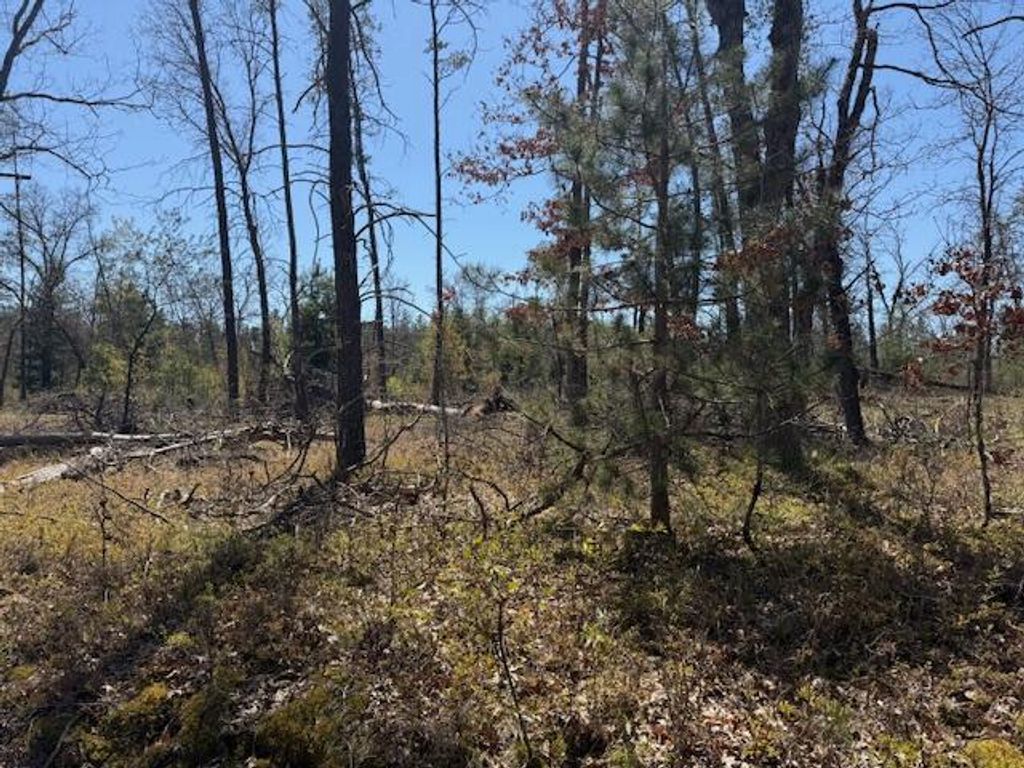 Photo of VL Prarie Road, Idlewild, MI 49642 (MLS # 26005020)