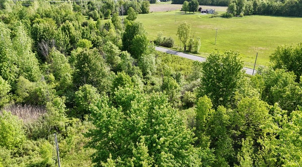 13027 SHANER AVE NE, CEDAR SPRINGS, MI 49319 - Image bfe83357f9037997f510a1bd73bece2e/2273606