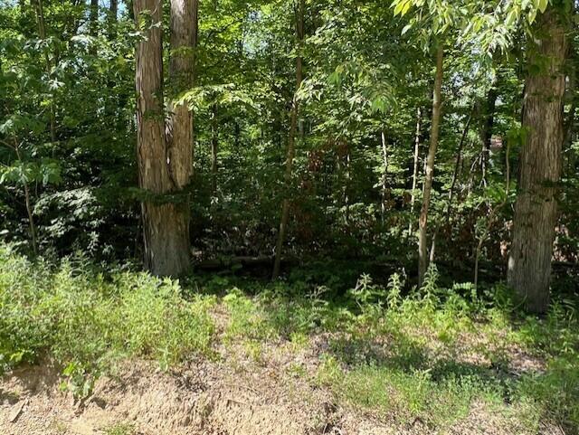 Union Pier, Michigan 49129, United States, ,Land,Active,171080