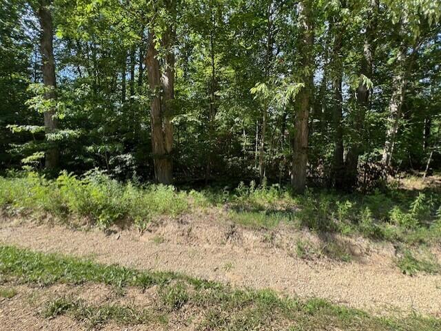 Union Pier, Michigan 49129, United States, ,Land,Active,171080