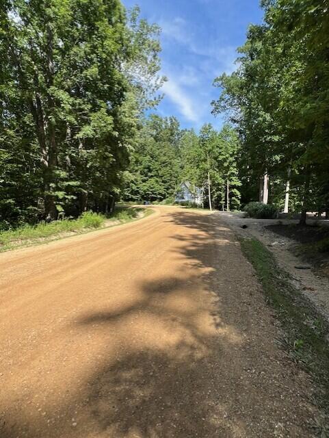 Union Pier, Michigan 49129, United States, ,Land,Active,171080