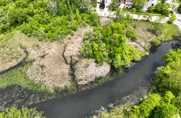144 RIVER DR # D, MILFORD, MI 48381 - Image c08ba1dddcfd06900e7960039cc7e17a/3501618250