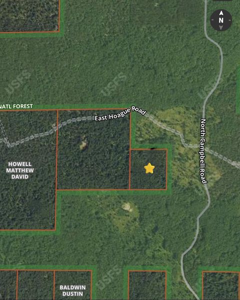 Photo of V/L E Hoague Road, Free Soil, MI 49411 (MLS # 26016216)