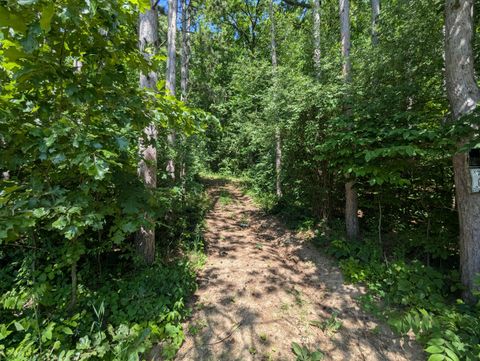 Photo of V/L North Avenue, Bellevue, MI 49021 (MLS # 25054846)