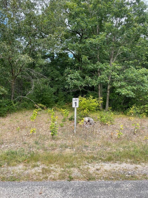 Photo of Lot 1 Renaissance Park, Manistee, MI 49660 (MLS # 24048099)