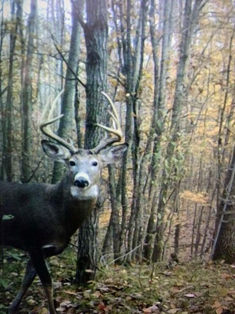 V/L 125th Avenue Stanwood MI 49346