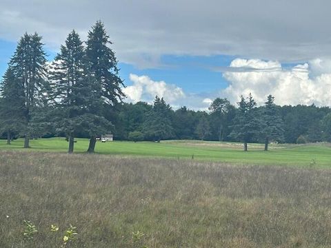 7734 Red Fox Road Canadian Lakes MI 49346