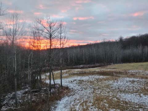 Photo for 72 acres W Miller Road