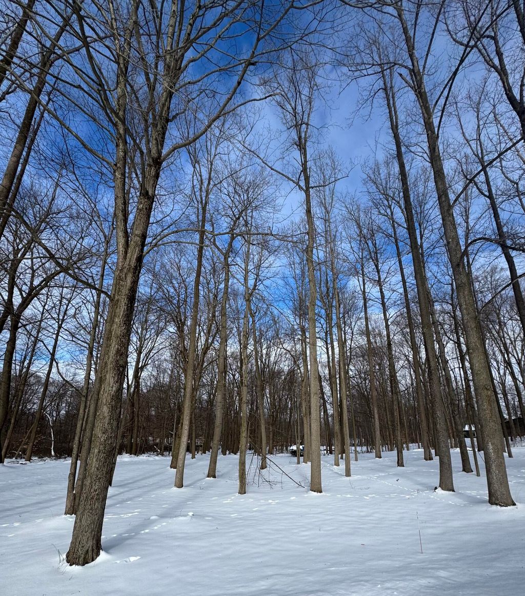 Photo of V/L Timberlane Drive, Jones, MI 49061 (MLS # 26005845)