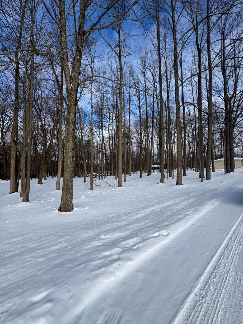 Photo of V/L Timberlane Drive, Jones, MI 49061 (MLS # 26005845)