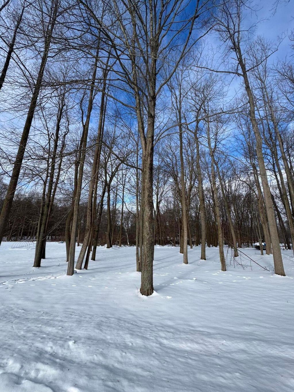 Photo of V/L Timberlane Drive, Jones, MI 49061 (MLS # 26005845)