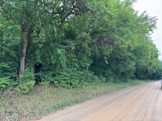 BEULAH RD, JACKSON, MI 49201 - Image c46b18c196541003dfa0324e20a20836/1208410081