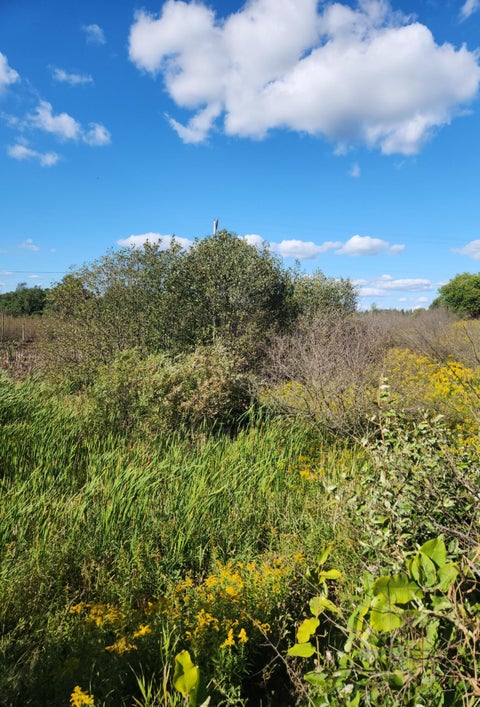 Photo for 00 18 Mile Road