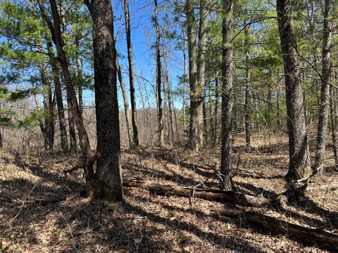 Photo of 00 S Dillard Street, Baldwin, MI 49304 (MLS # 26017077)