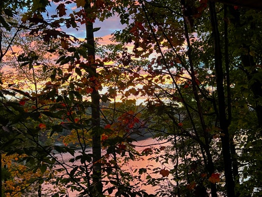 967 OLD MILLER RD, BEULAH, MI 49617 - Image c51abe71ee3fd8d35cf2e9d4a4a025f2/3560633143