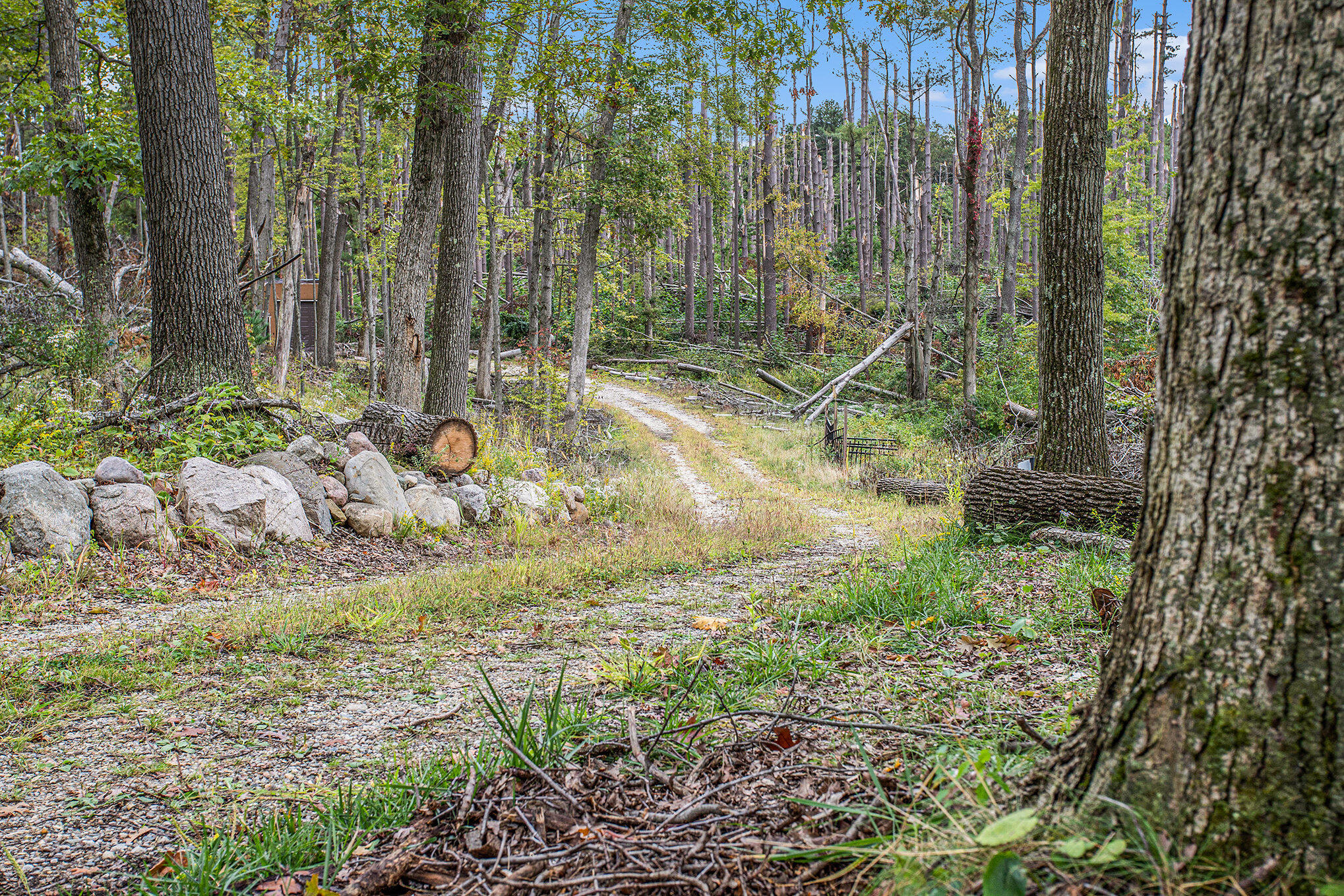 Battle Creek, Michigan 49014, United States, 3 Bedrooms Bedrooms, ,2 BathroomsBathrooms,Residential,Pending,215541