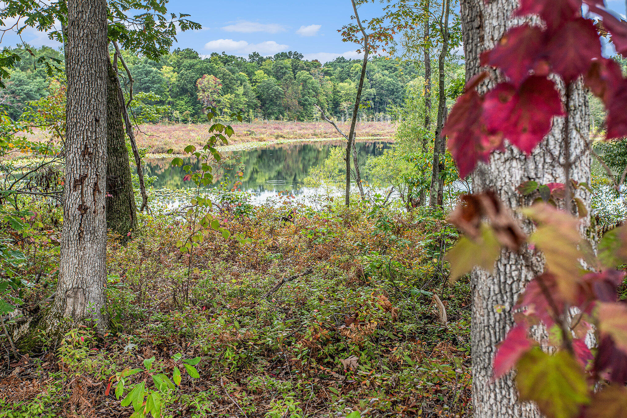 Battle Creek, Michigan 49014, United States, 3 Bedrooms Bedrooms, ,2 BathroomsBathrooms,Residential,Pending,215541