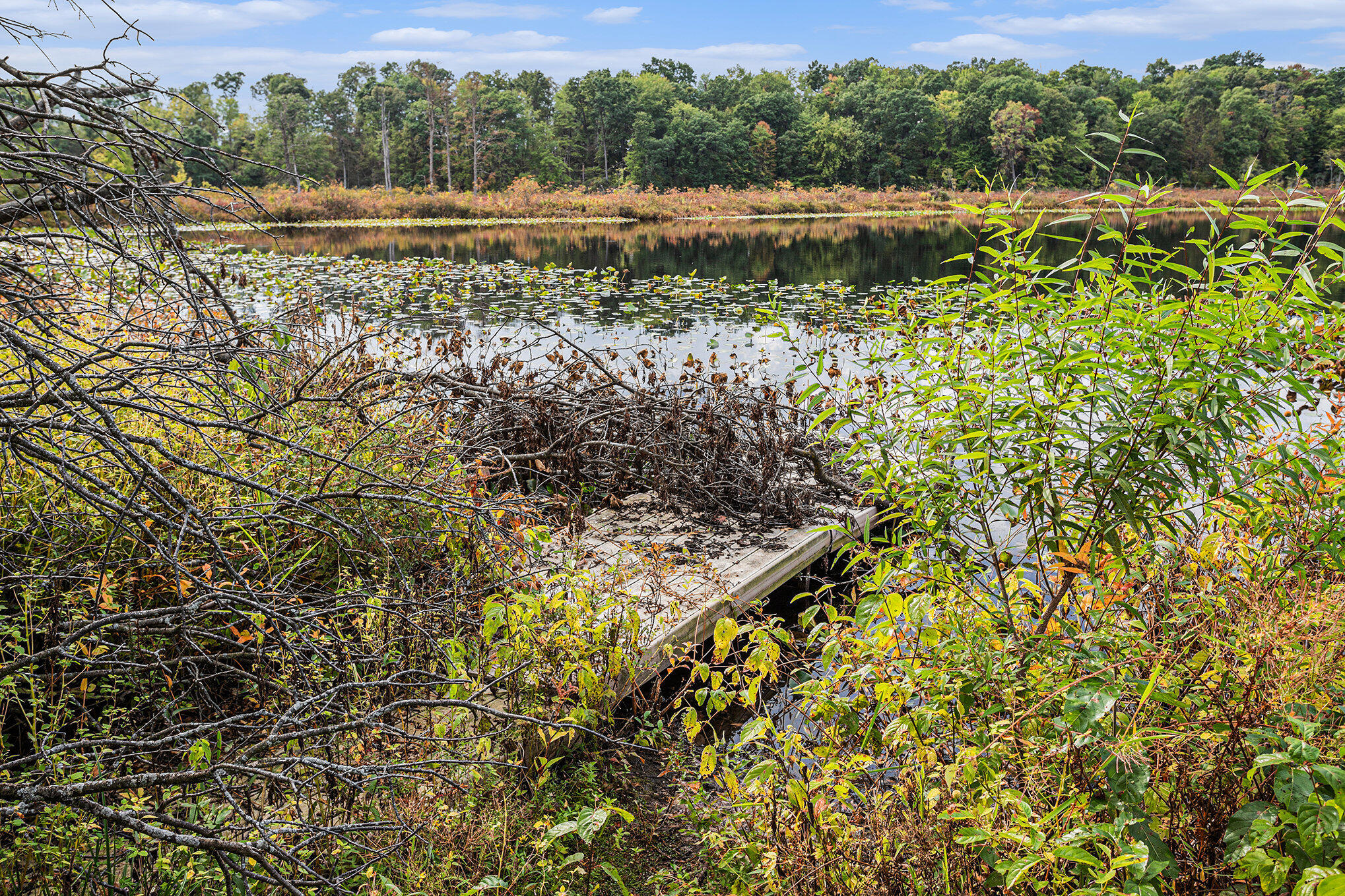 Battle Creek, Michigan 49014, United States, 3 Bedrooms Bedrooms, ,2 BathroomsBathrooms,Residential,Pending,215541